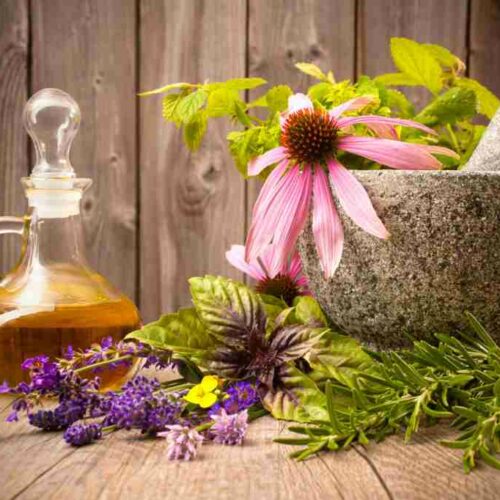 Aromaterapi & Eteriske oljer